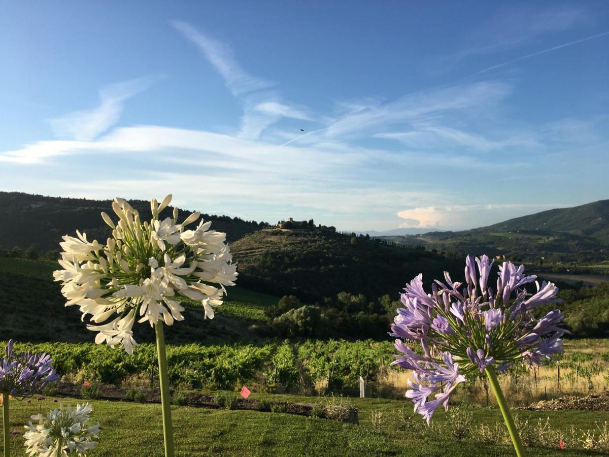 La Pietra Del Cabreo Hotel Greve in Chianti Exterior photo